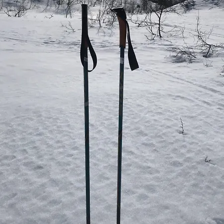 Kardal Fjellstove