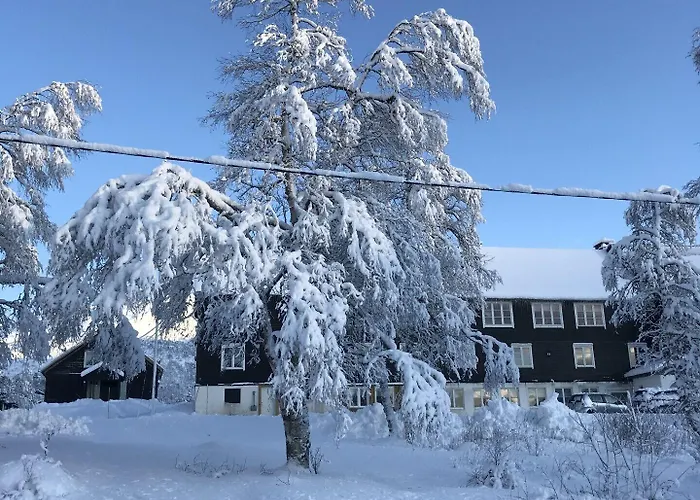 Kardal Fjellstove * Mjolfjell