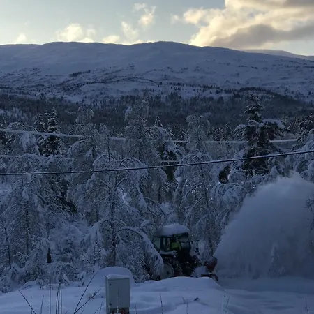 Kardal Fjellstove